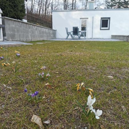 Ferienhaus Am Wald Wendehausen Exterior foto